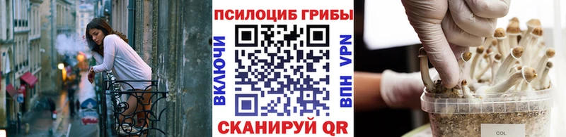 Галлюциногенные грибы ЛСД MEGA как зайти Тырныауз